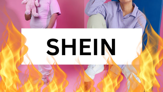 SHEIN Fast Fashion Retailer: Business Model Analysis